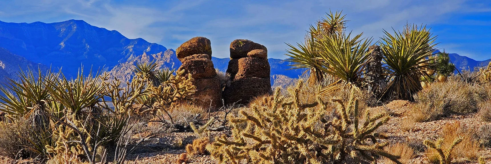 Descending Kibbles 'N Bits Trail Through Field of Massive Pillars. | Western Trails and Ridges | Blue Diamond Hill | Red Rock Canyon, Nevada