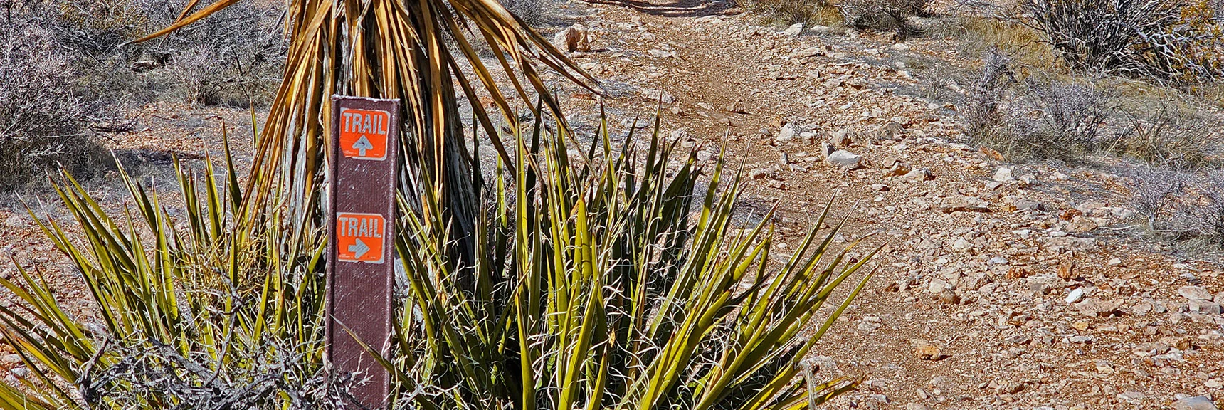 Rare Trail Sign at Beginning of Second Finger Loop | Western Trails and Ridges | Blue Diamond Hill | Red Rock Canyon, Nevada