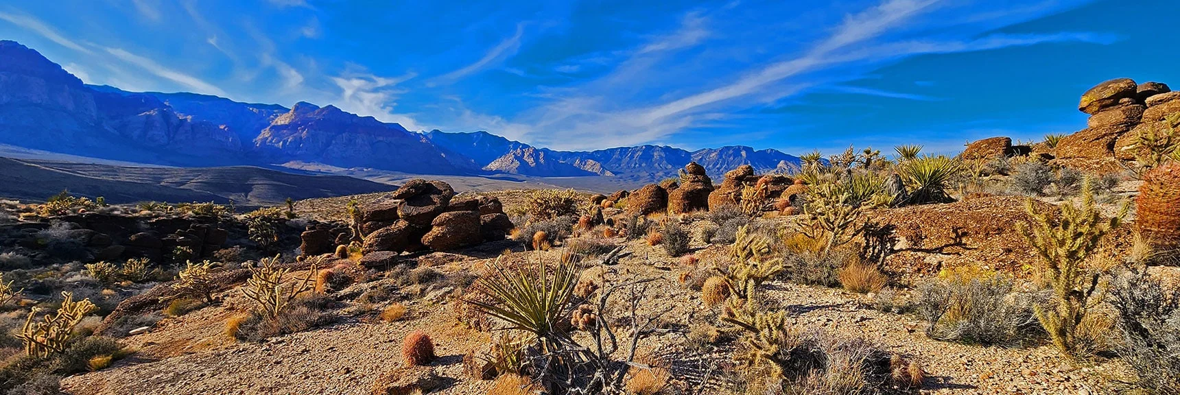 Pillars Radiate Bronze Glow in the Late Afternoon Sunlight | Western Trails and Ridges | Blue Diamond Hill | Red Rock Canyon, Nevada