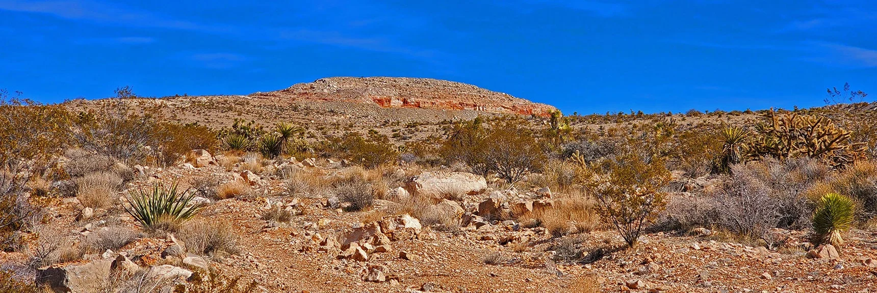 Southern Summit of First Finger Ridge Looking Toward Maverick Windsock Hill | Western Trails and Ridges | Blue Diamond Hill | Red Rock Canyon, Nevada