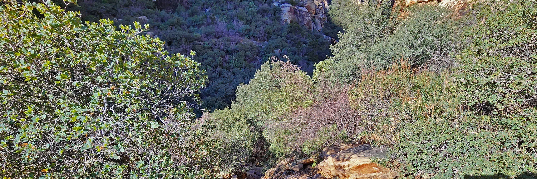 Descending Now to the Creek at the Canyon Base. Note Descent Point for Return Trip | Ice Box Canyon | Red Rock Canyon NCA, Nevada | Las Vegas Area Trails | David Smith