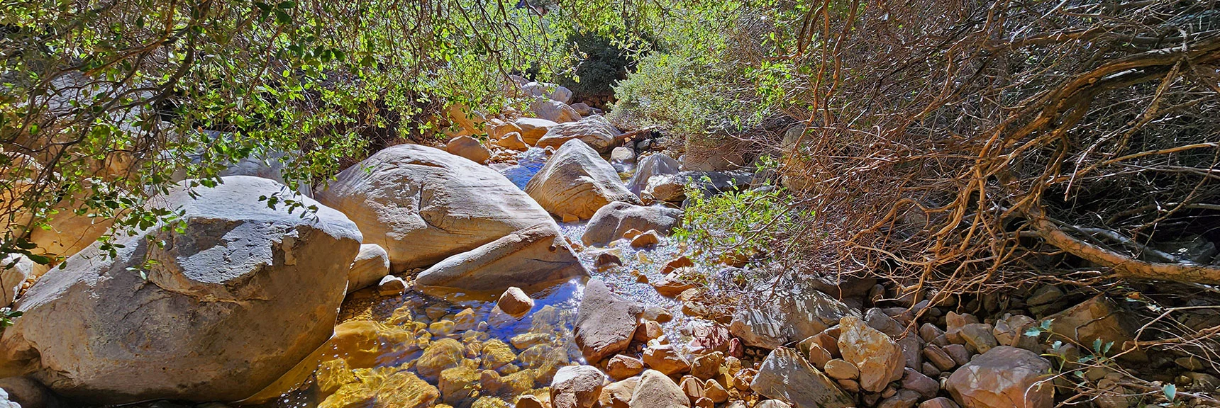 There's Always a Dry Rock and Boulder Passageway at Every Creek Crossing | Ice Box Canyon | Red Rock Canyon NCA, Nevada | Las Vegas Area Trails | David Smith