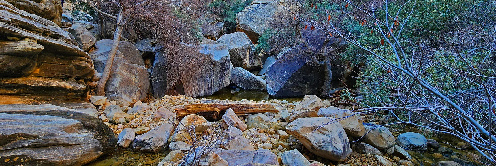 Around Every Corner a New View Opens, Unique to This Place Alone on Earth | Ice Box Canyon | Red Rock Canyon NCA, Nevada | Las Vegas Area Trails | David Smith