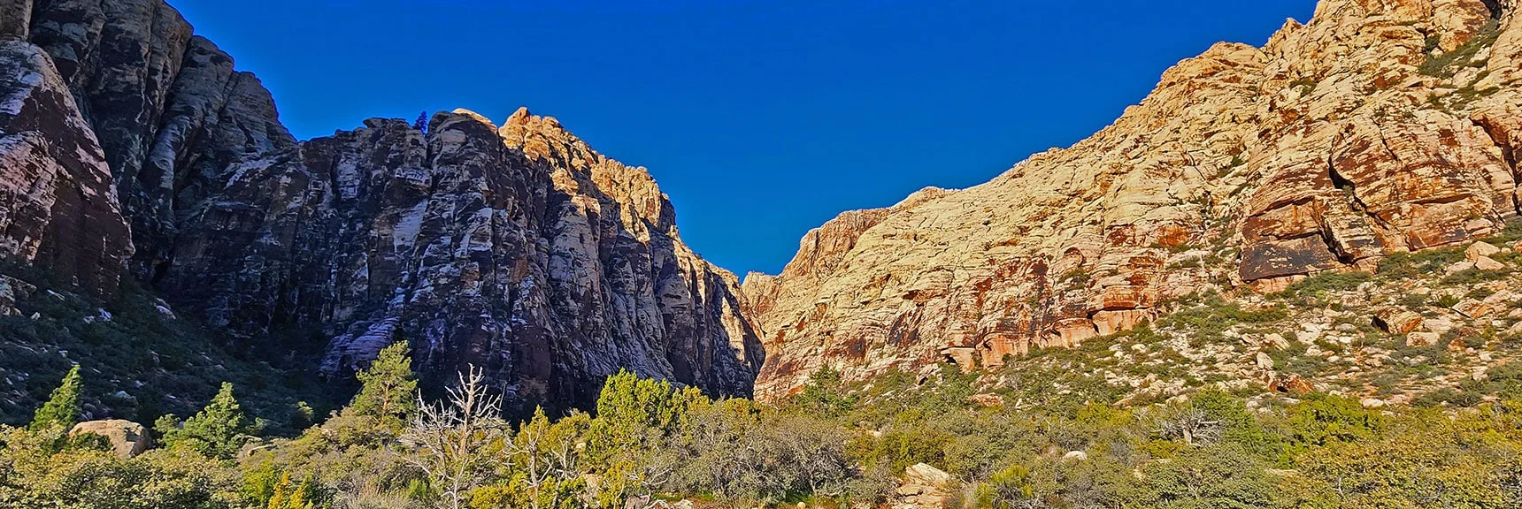 Passing Into Canyon Opening. Towering Calico Sandstone Walls on Either Side | Ice Box Canyon | Red Rock Canyon NCA, Nevada | Las Vegas Area Trails | David Smith