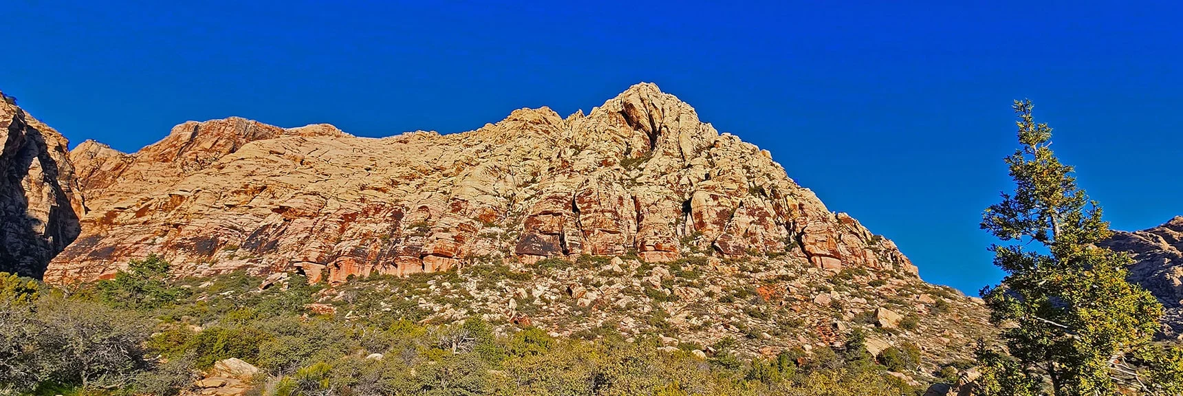 North Wall of Canyon. Buffalo Wall Cliff Higher Up to Left | Ice Box Canyon | Red Rock Canyon NCA, Nevada | Las Vegas Area Trails | David Smith