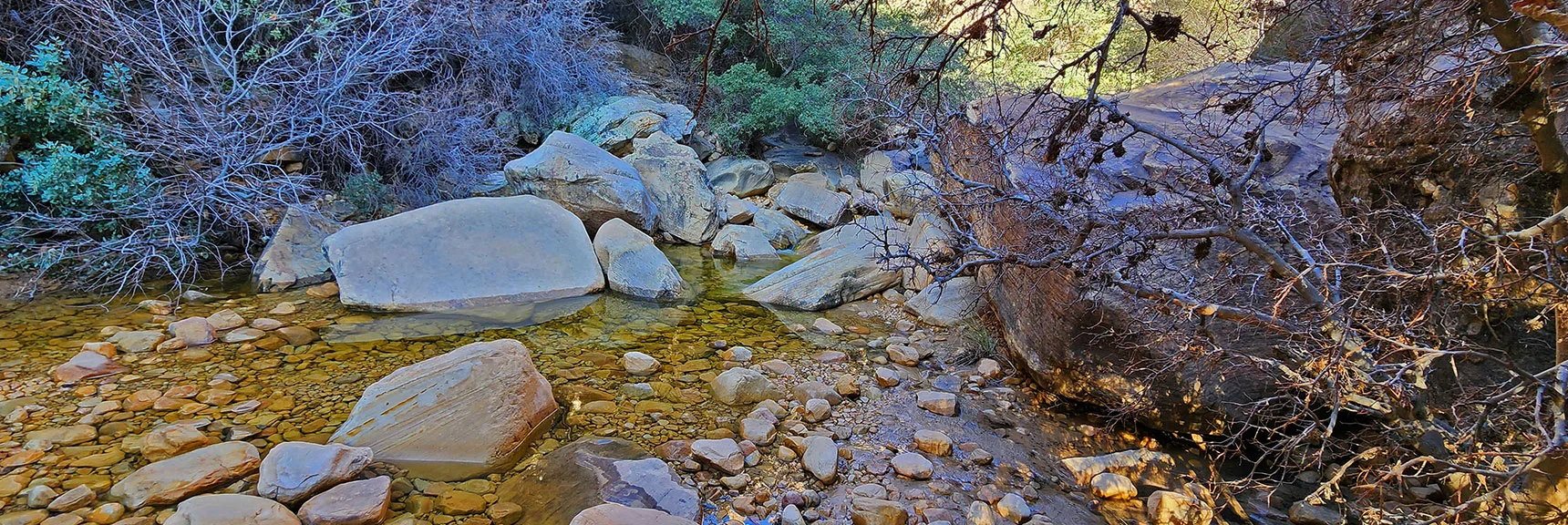 Arrival at Creek. Need to Cross Multiple Times. Challenge: Keep Feet Dry! | Ice Box Canyon | Red Rock Canyon NCA, Nevada | Las Vegas Area Trails | David Smith