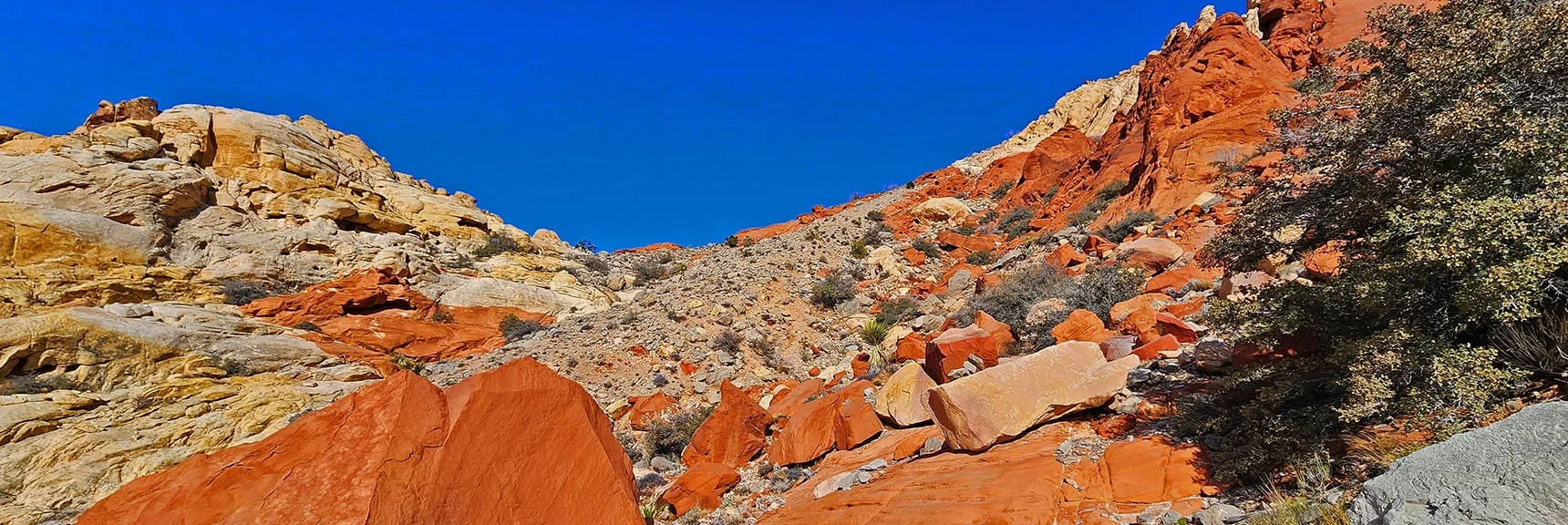 Ascending Toward the Summit of Ash Canyon | Ash Canyon to Calico Tanks | Calico Basin and Red Rock Canyon, Nevada | David Smith | Las Vegas Area Trails