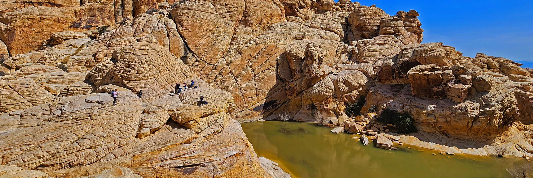 Many Hikers Enjoying This Trail at a Perfect Time of Year | Ash Canyon to Calico Tanks | Calico Basin and Red Rock Canyon, Nevada | David Smith | Las Vegas Area Trails
