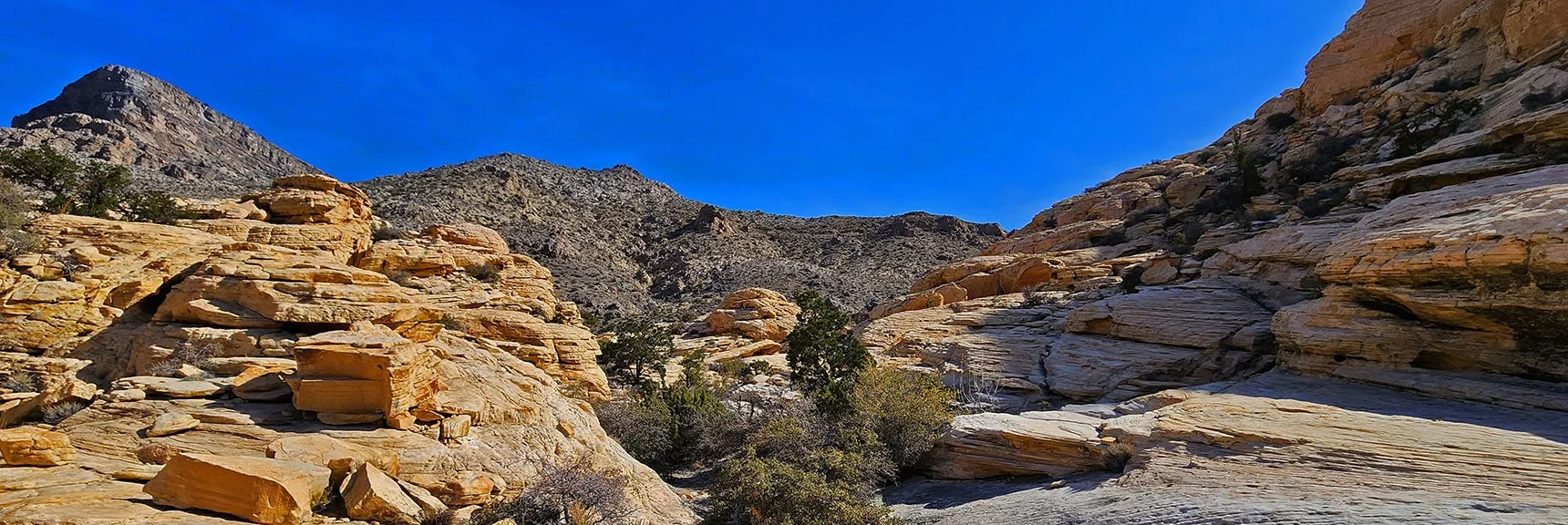 A Look Back Up the Canyon as Reference for the Return Trip | Ash Canyon to Calico Tanks | Calico Basin and Red Rock Canyon, Nevada | David Smith | Las Vegas Area Trails