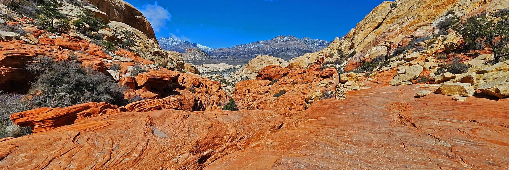 Higher View Down the Calico Tanks Trail | Ash Canyon to Calico Tanks | Calico Basin and Red Rock Canyon, Nevada | David Smith | Las Vegas Area Trails