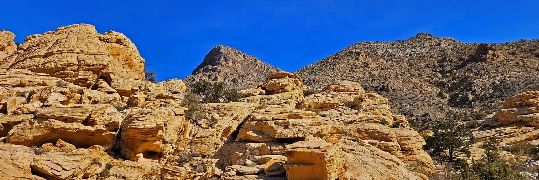 On the Return Trip You Will Navigate Far to the Right of Turtlehead Peak. | Ash Canyon to Calico Tanks | Calico Basin and Red Rock Canyon, Nevada | David Smith | Las Vegas Area Trails