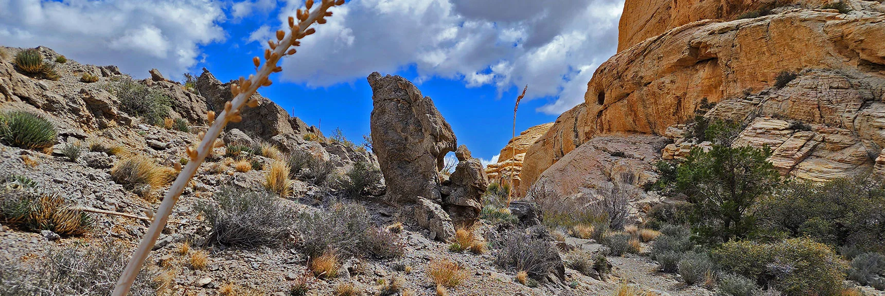 Strange Nature-Sculpted Rock on the Rattlesnake Trail. | Ash Canyon to Calico Tanks | Calico Basin and Red Rock Canyon, Nevada | David Smith | Las Vegas Area Trails