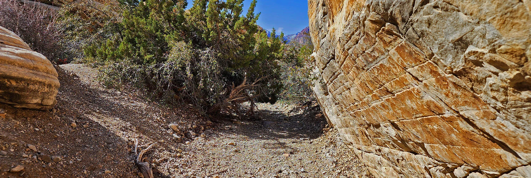 Descending the Canyon Toward the Calico Tanks Trail. Correct Wash is Not Always Evident | Ash Canyon to Calico Tanks | Calico Basin and Red Rock Canyon, Nevada | David Smith | Las Vegas Area Trails