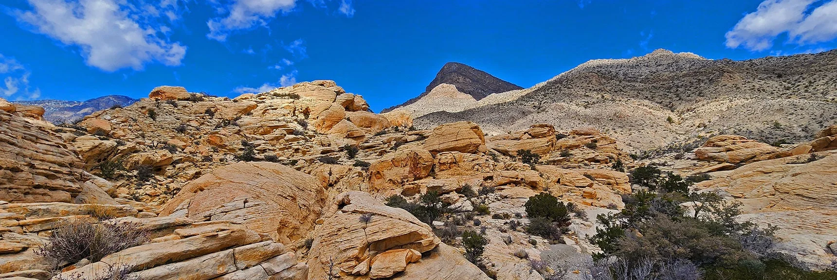 Tip of Turtlehead Peak Behind While Ascending the Rattlesnake Trail. | Ash Canyon to Calico Tanks | Calico Basin and Red Rock Canyon, Nevada | David Smith | Las Vegas Area Trails
