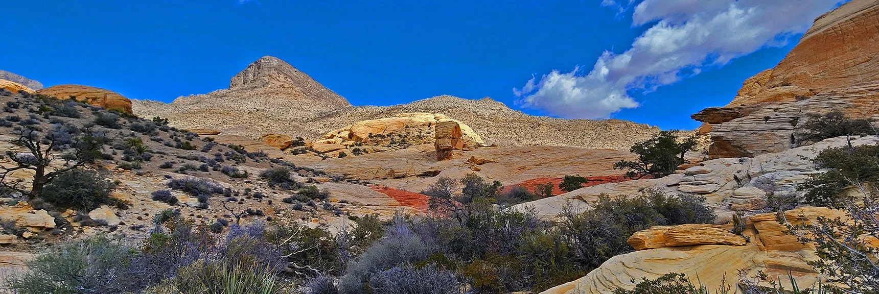 Returning Up the Rattlesnake Trail Toward Calico Basin. Keep Far Right of Turtlehead Peak | Ash Canyon to Calico Tanks | Calico Basin and Red Rock Canyon, Nevada | David Smith | Las Vegas Area Trails