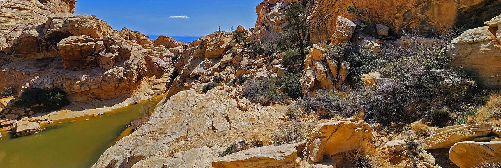 View Beyond the Upper Calico Tank to Calico Tanks Summit Viewpoint. | Ash Canyon to Calico Tanks | Calico Basin and Red Rock Canyon, Nevada | David Smith | Las Vegas Area Trails
