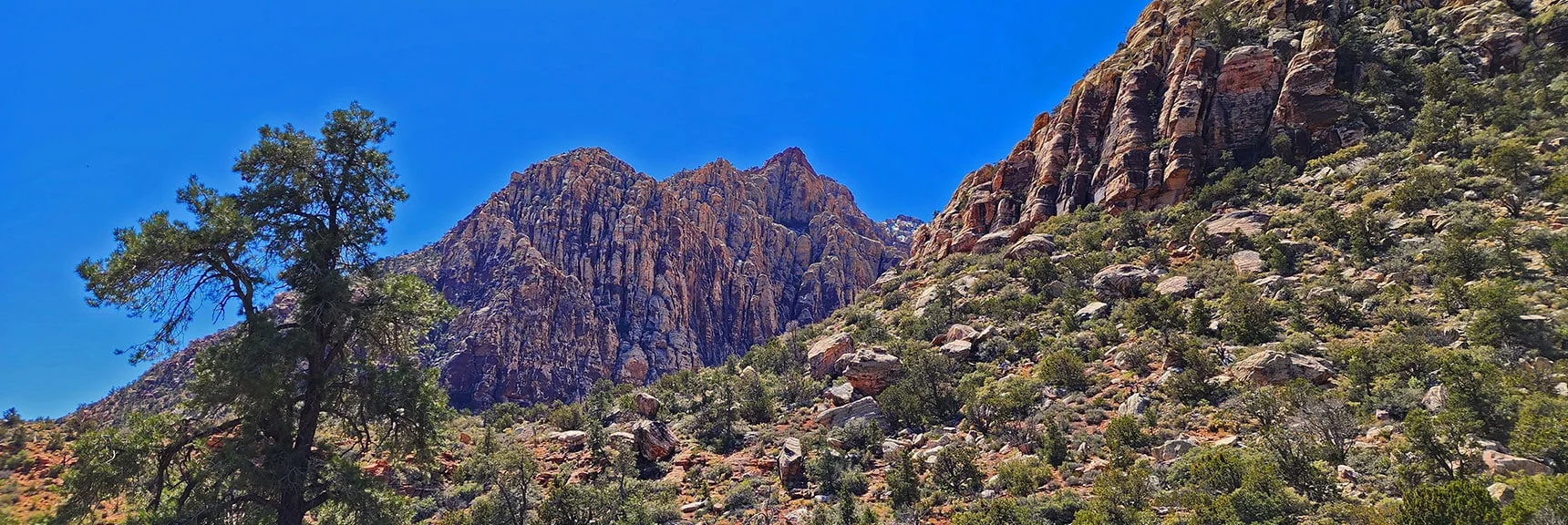 View Back Toward Ice Box Canyon Opening South Cliffs, Bridge Mt Foothills | SMYC Trail | Red Rock Canyon National Conservation Area, Nevada | David Smith | LasVegasAreaTrails.com