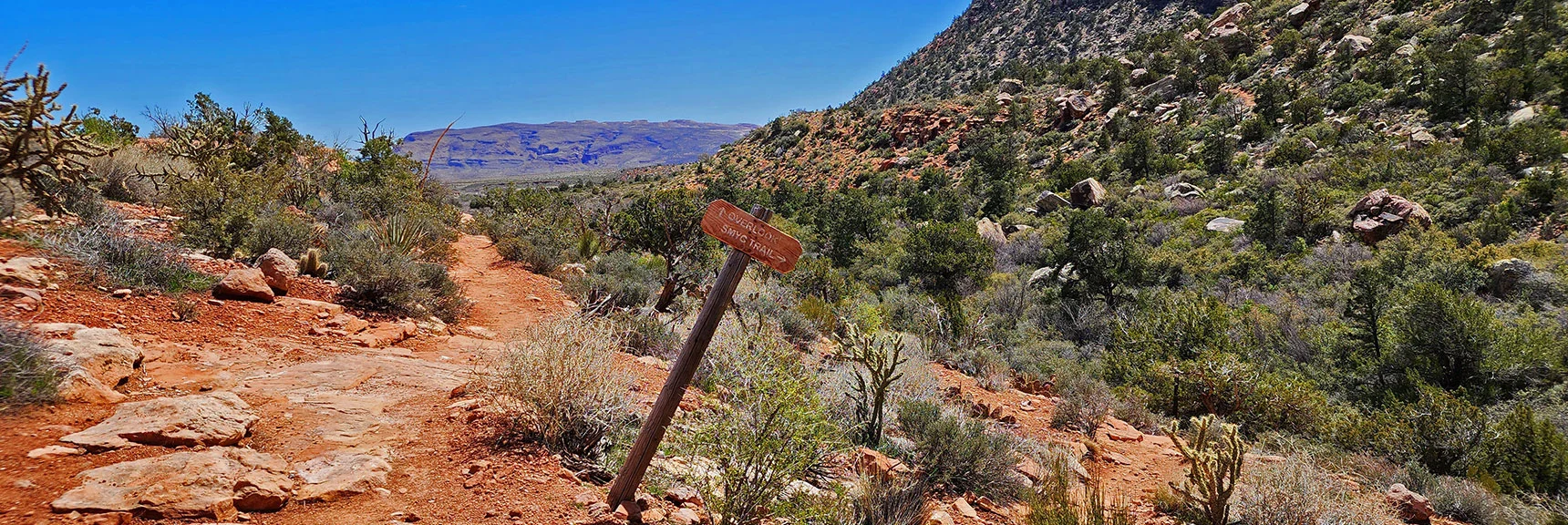 Side Trail to the Point. Red Coloring from Iron Leaching into the Soil, Then Solidified | SMYC Trail | Red Rock Canyon National Conservation Area, Nevada | David Smith | LasVegasAreaTrails.com