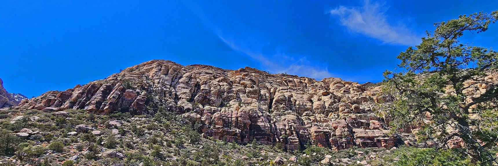 SMYC Trail Skirts Base of the Northern Rainbow Mountains | SMYC Trail | Red Rock Canyon National Conservation Area, Nevada | David Smith | LasVegasAreaTrails.com
