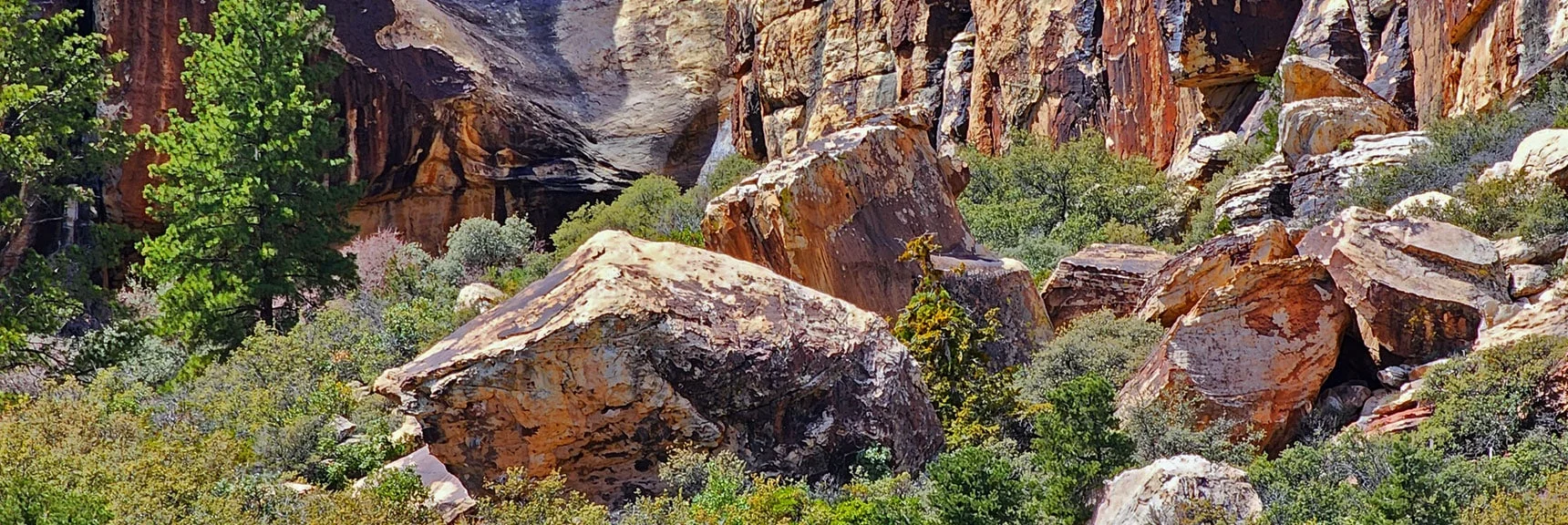 Flat Rock with Dark Iron Oxide Film Was Prime Drawing Surface for Petroglyph Creators | SMYC Trail | Red Rock Canyon National Conservation Area, Nevada | David Smith | LasVegasAreaTrails.com