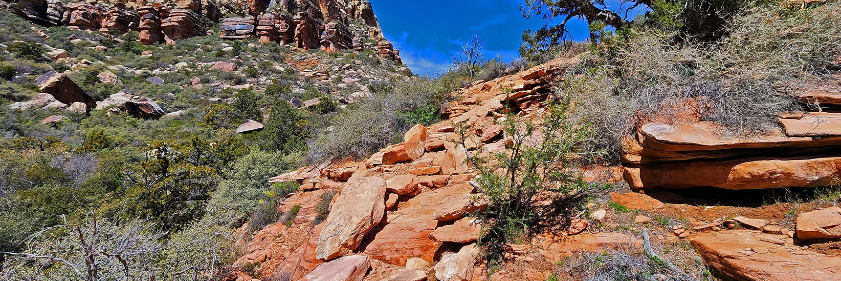 Brief Ascent to the Northern SMYC Trail High Point. | SMYC Trail | Red Rock Canyon National Conservation Area, Nevada | David Smith | LasVegasAreaTrails.com