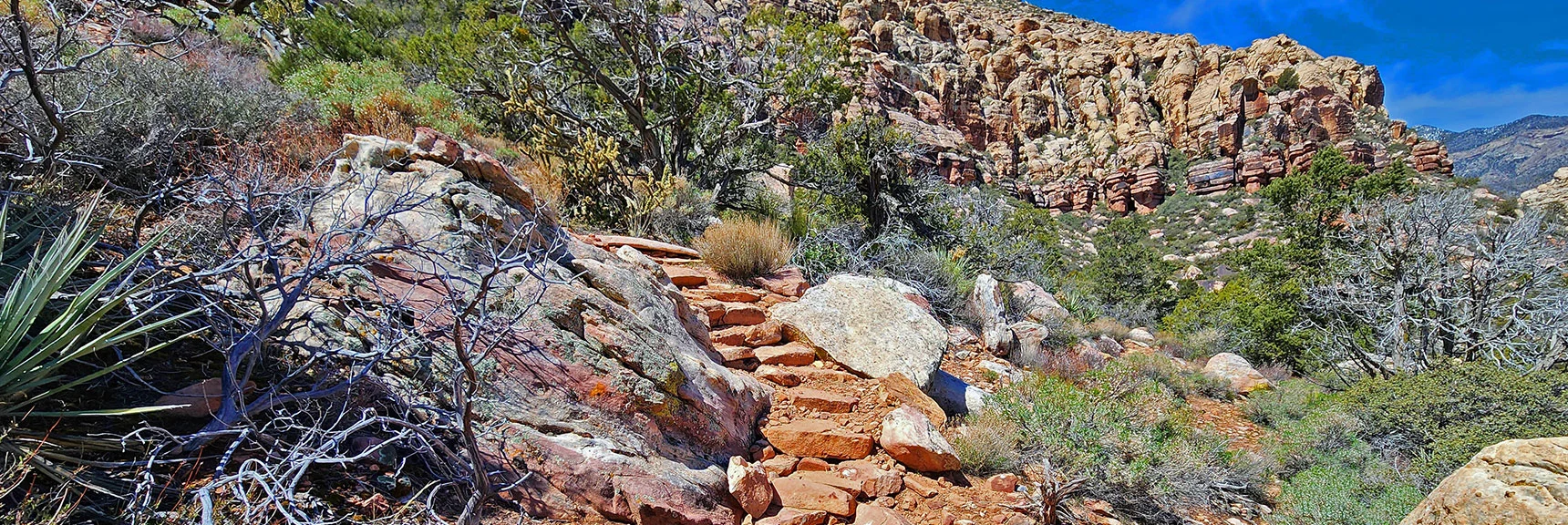 SMYC Trail | Red Rock Canyon, Nevada | David Smith | Las Vegas Area Trails