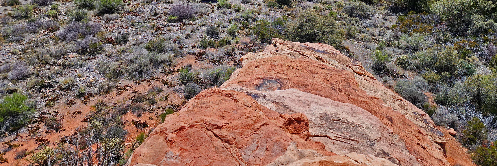 South Edge of Point Below. Probably Not Wise to Stand on That Thin Shelf | SMYC Trail | Red Rock Canyon National Conservation Area, Nevada | David Smith | LasVegasAreaTrails.com