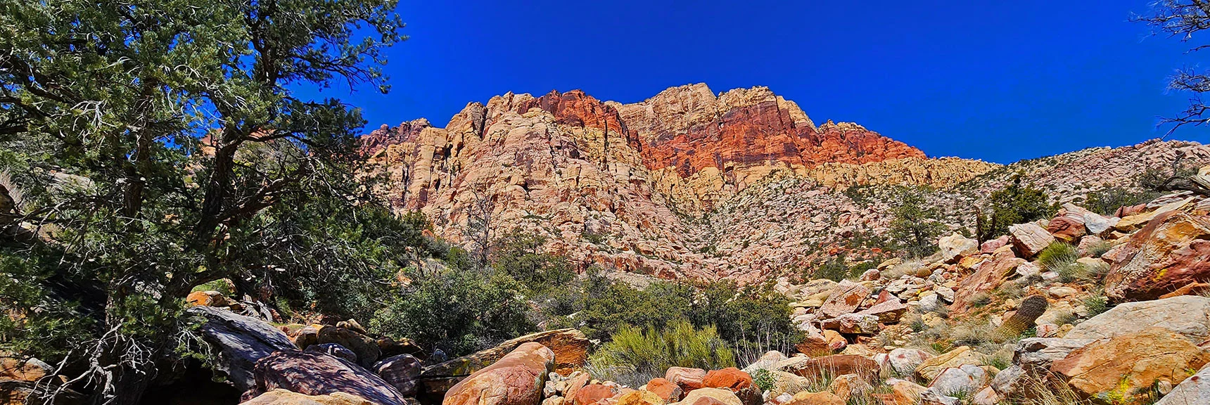 View Up the Wash Toward Bridge Mt. Above. Note Gully in Mountain Where Wash Originates | Dales Trail | Red Rock Canyon National Conservation Area, Nevada | David Smith | LasVegasAreaTrails.com