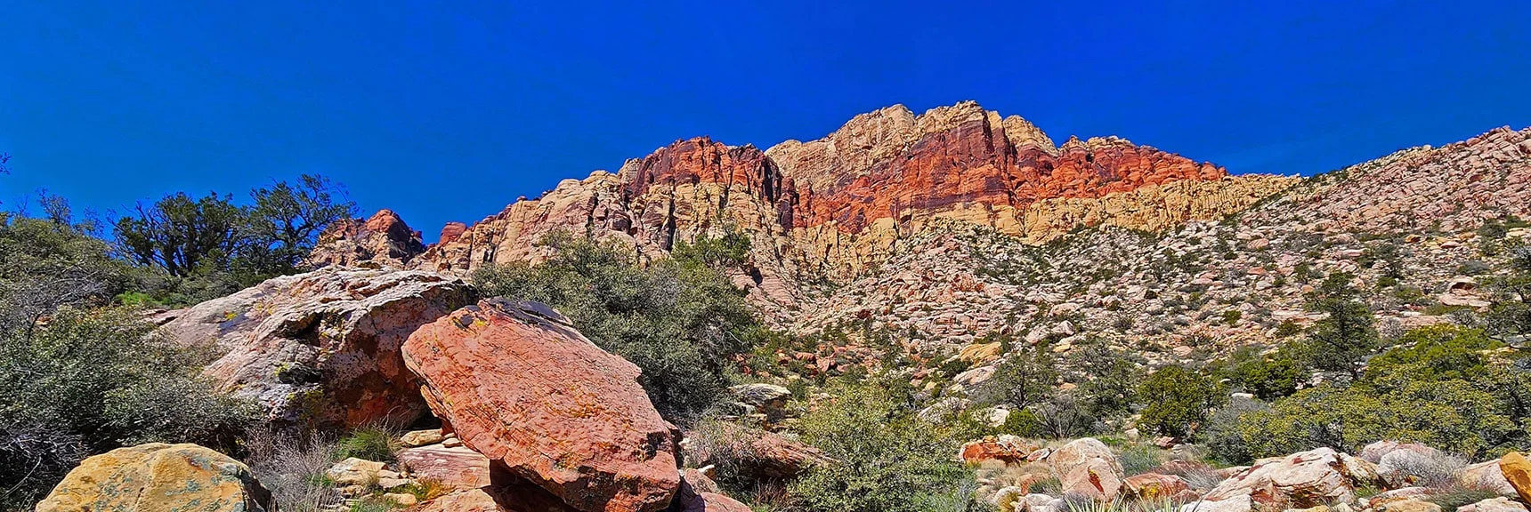 View Up Another Canyon Wash Toward Bridge Mountain | Dales Trail | Red Rock Canyon National Conservation Area, Nevada | David Smith | LasVegasAreaTrails.com