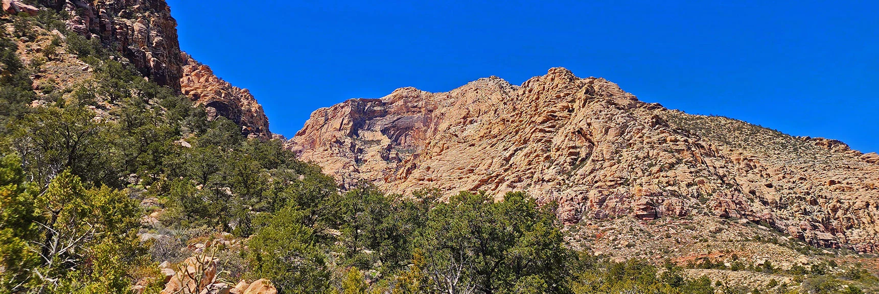 Buffalo Wall Marks the Northern Side of Ice Box Canyon | Dales Trail | Red Rock Canyon National Conservation Area, Nevada | David Smith | LasVegasAreaTrails.com