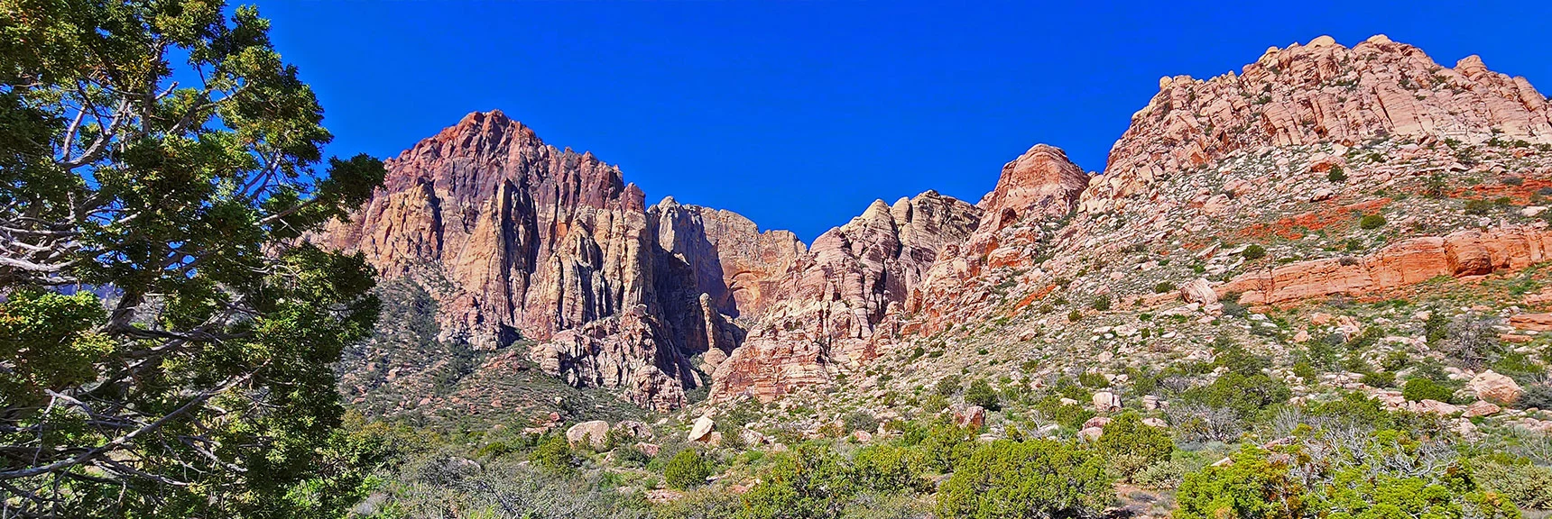 Now Looking Back on Rainbow Mt. from Juniper Peak Base | Knoll Trail | Red Rock Canyon National Conservation Area, Nevada | David Smith | LasVegasAreaTrails.com