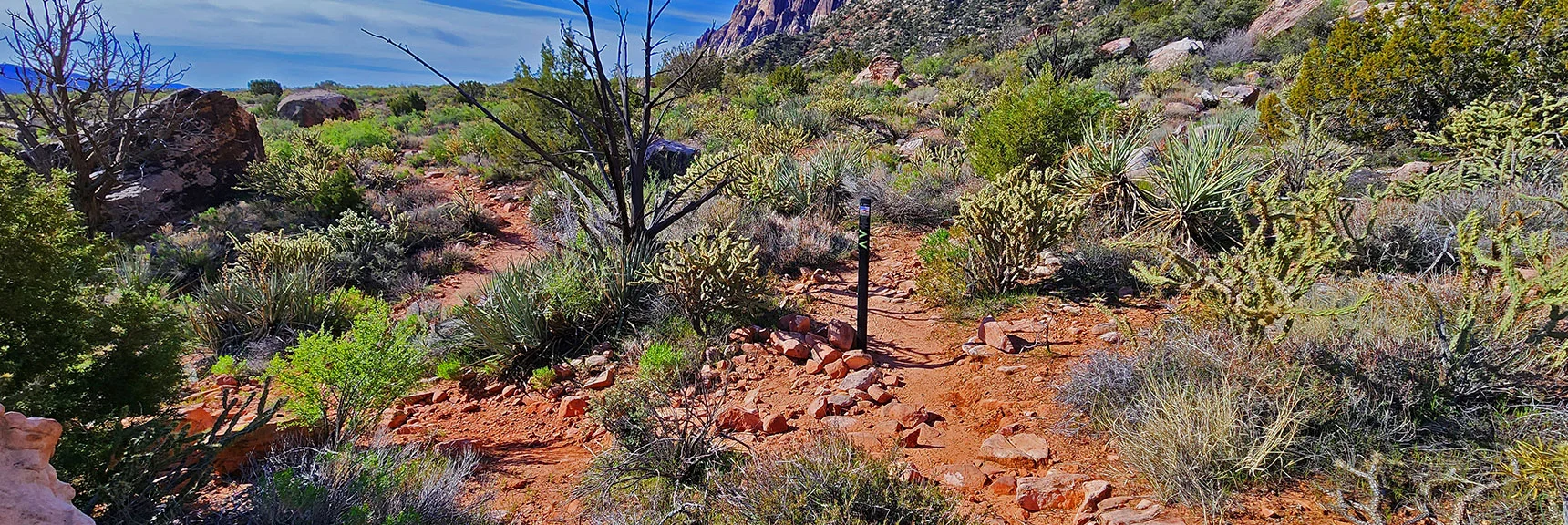 Knoll/Arnight Trail Junction at Juniper Canyon | Knoll Trail | Red Rock Canyon National Conservation Area, Nevada | David Smith | LasVegasAreaTrails.com