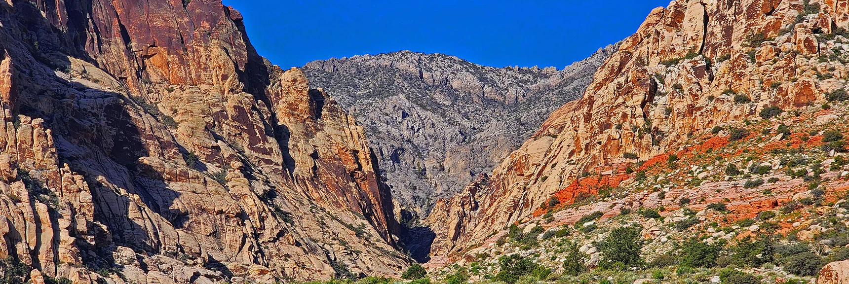 Oak Creek Canyon with Rainbow Mts Upper Crest Ridgeline Above | Knoll Trail | Red Rock Canyon National Conservation Area, Nevada | David Smith | LasVegasAreaTrails.com
