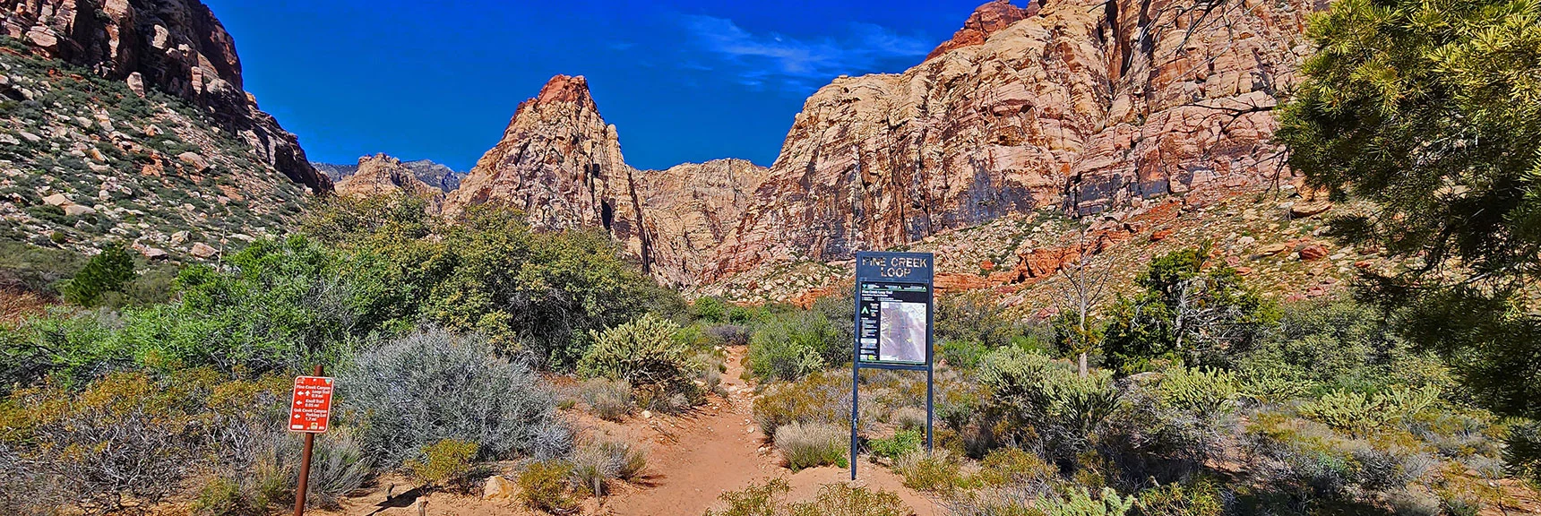 View Up Pine Creek Canyon | Knoll Trail | Red Rock Canyon National Conservation Area, Nevada | David Smith | LasVegasAreaTrails.com