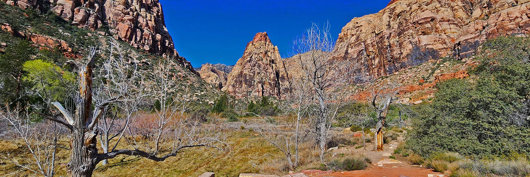 Pine Creek Canyon View from Wilson Homestead | Knoll Trail | Red Rock Canyon National Conservation Area, Nevada | David Smith | LasVegasAreaTrails.com