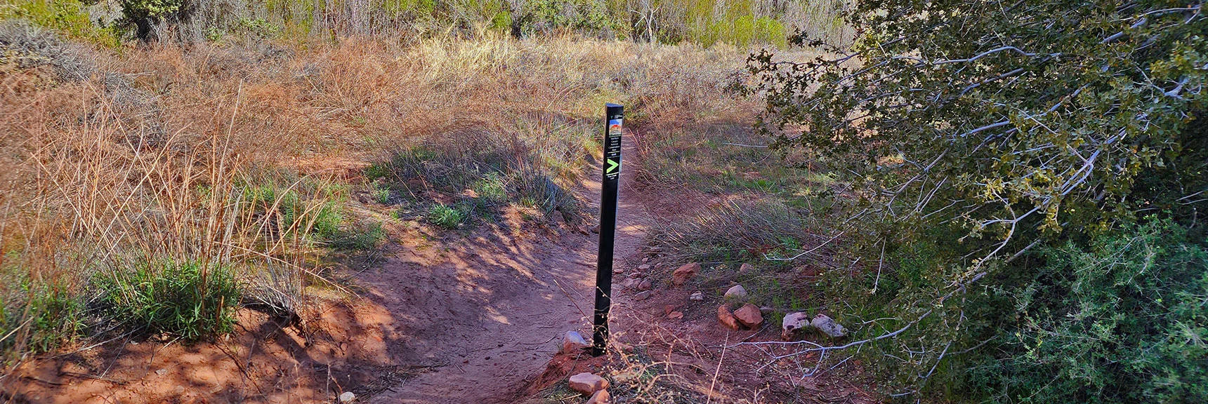 Knoll Trail Intersects with Pine Creek Loop Trail in Pine Creek Canyon | Knoll Trail | Red Rock Canyon National Conservation Area, Nevada | David Smith | LasVegasAreaTrails.com