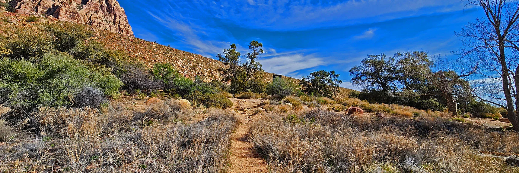 Approaching Knoll Trail Northern Trailhead in Pine Creek Canyon | Knoll Trail | Red Rock Canyon National Conservation Area, Nevada | David Smith | LasVegasAreaTrails.com