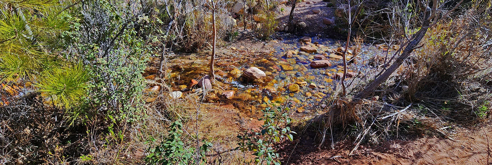 Pine Creek Crossing During Spring Runoff | Knoll Trail | Red Rock Canyon National Conservation Area, Nevada | David Smith | LasVegasAreaTrails.com