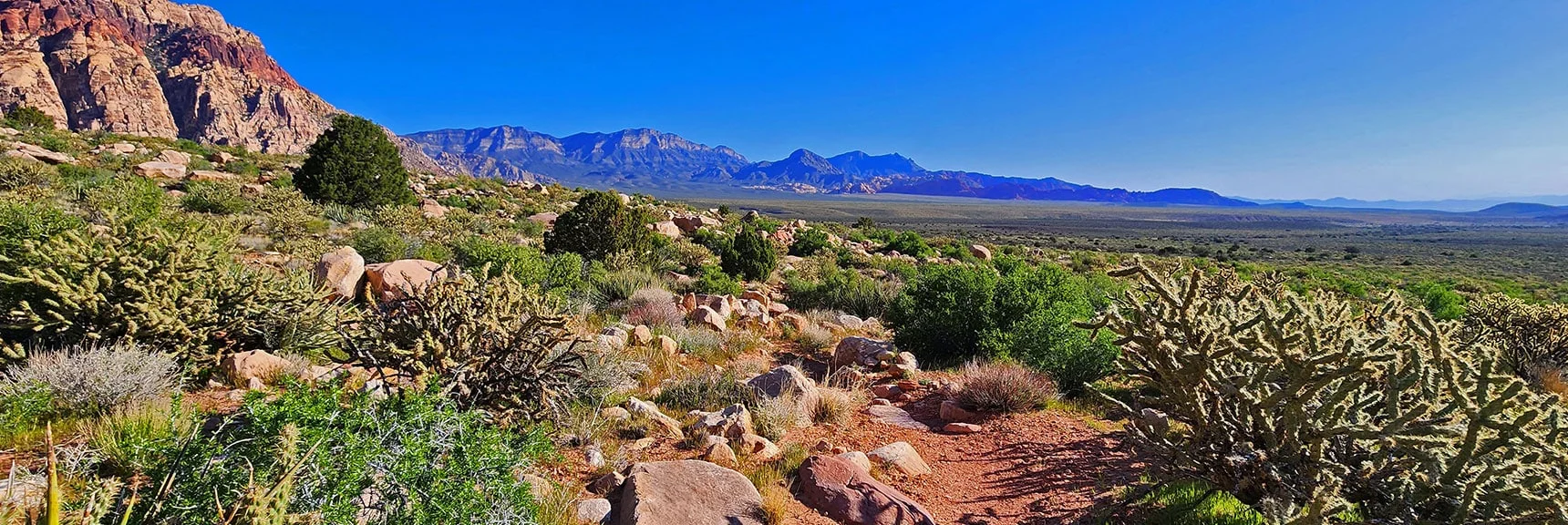 Knoll Trail About to Cross Juniper Canyon | Knoll Trail | Red Rock Canyon National Conservation Area, Nevada | David Smith | LasVegasAreaTrails.com