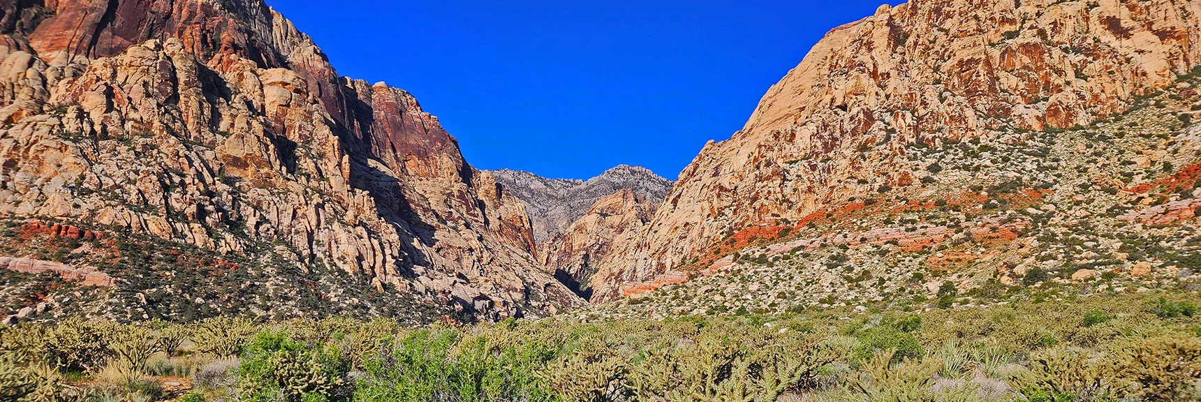 Oak Creek Canyon Further SW from Knoll Trail | Knoll Trail | Red Rock Canyon National Conservation Area, Nevada | David Smith | LasVegasAreaTrails.com