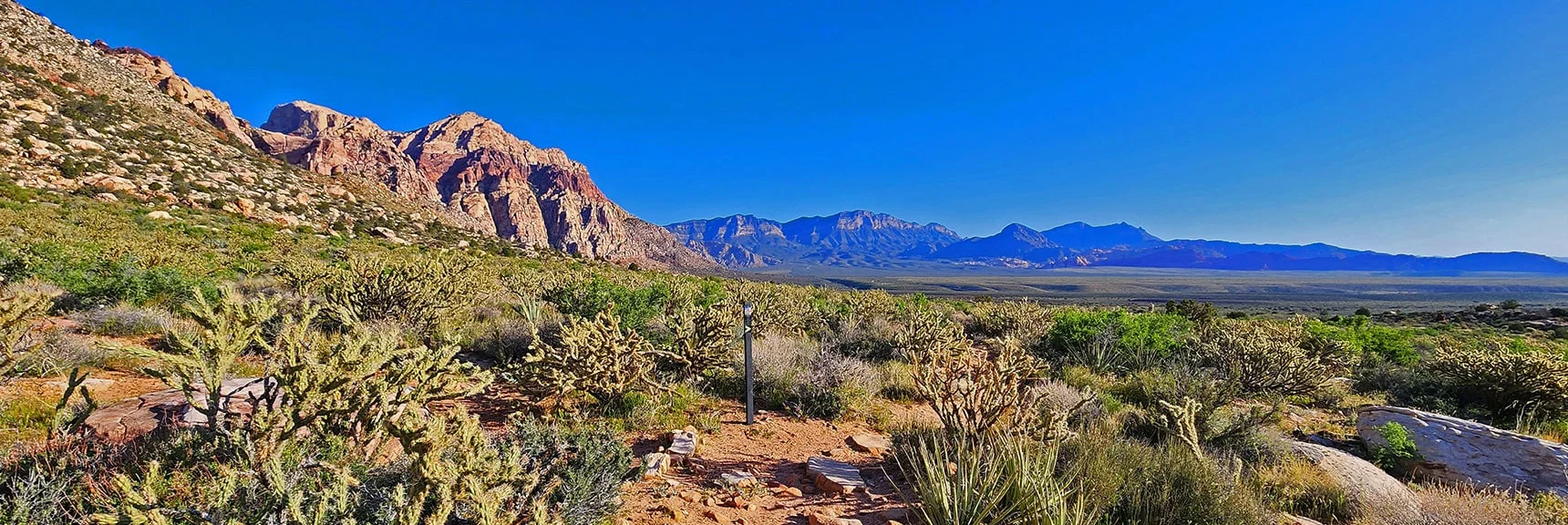 Great Trail, Well Signed, a Bit Rocky Along Base of Rainbow Mountains | Knoll Trail | Red Rock Canyon National Conservation Area, Nevada | David Smith | LasVegasAreaTrails.com