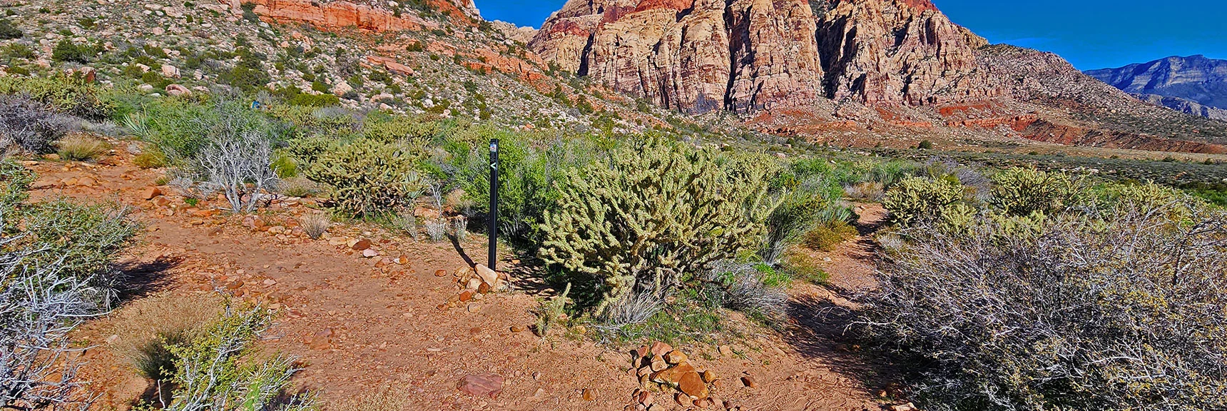 Knoll Trail Junction with Arnight Trail in Juniper Canyon Area | Arnight Trail | Red Rock Canyon, Nevada | David Smith | LasVegasAreaTrails.com