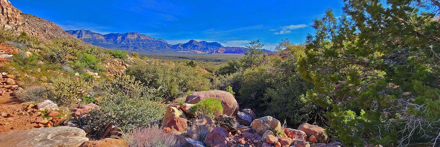 View Down Juniper Canyon Toward La Madre Mts. Cliffs and Turtlehead Peak | Arnight Trail | Red Rock Canyon, Nevada | David Smith | LasVegasAreaTrails.com