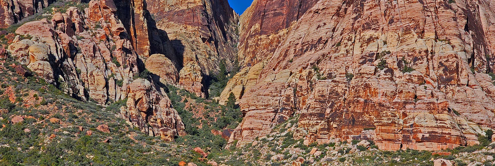 Juniper Canyon Ahead: Summit Approach Route for Juniper Peak | Arnight Trail | Red Rock Canyon, Nevada | David Smith | LasVegasAreaTrails.com