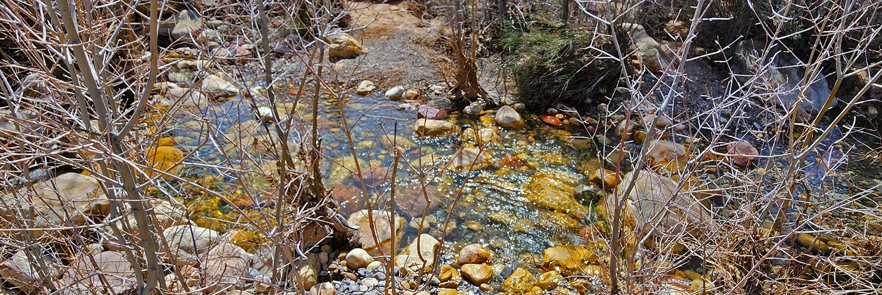 Dip Your Feet in This Stream That Was Mountain Ice Earlier Today! | Fire Ecology Trail | Pine Creek Canyon | Red Rock Canyon NCA, Nevada | David Smith | LasVegasAreaTrails.com
