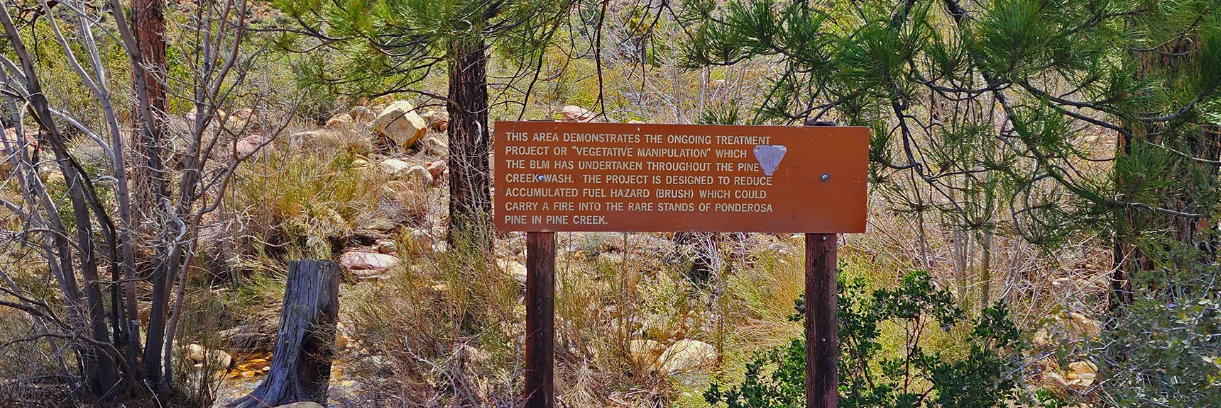 Fire Threat Management Requires Reducing Brush Through "Vegetative Manipulation" Strategy | Fire Ecology Trail | Pine Creek Canyon | Red Rock Canyon NCA, Nevada | David Smith | LasVegasAreaTrails.com