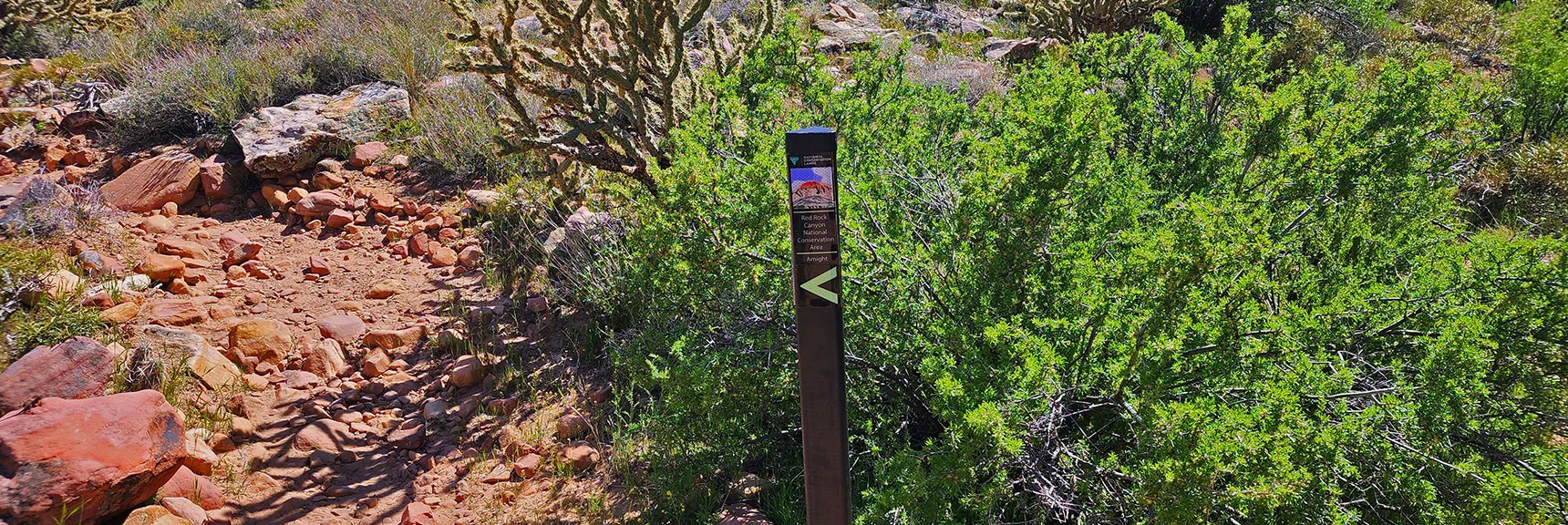 Turn Up Juniper Canyon at an Arnight Trail Sign Before Knoll Trail Intersection | Juniper Canyon | Red Rock Canyon National Conservation Area, Nevada | David Smith | LasVegasAreaTrails.com