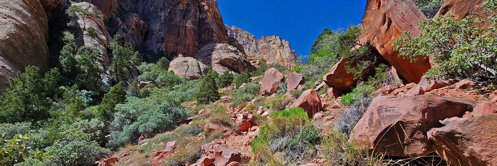 Now Ascending a South Side Ridge on Steep, Loose Red Rock Trail. Still Not Bad. | Juniper Canyon | Red Rock Canyon National Conservation Area, Nevada | David Smith | LasVegasAreaTrails.com