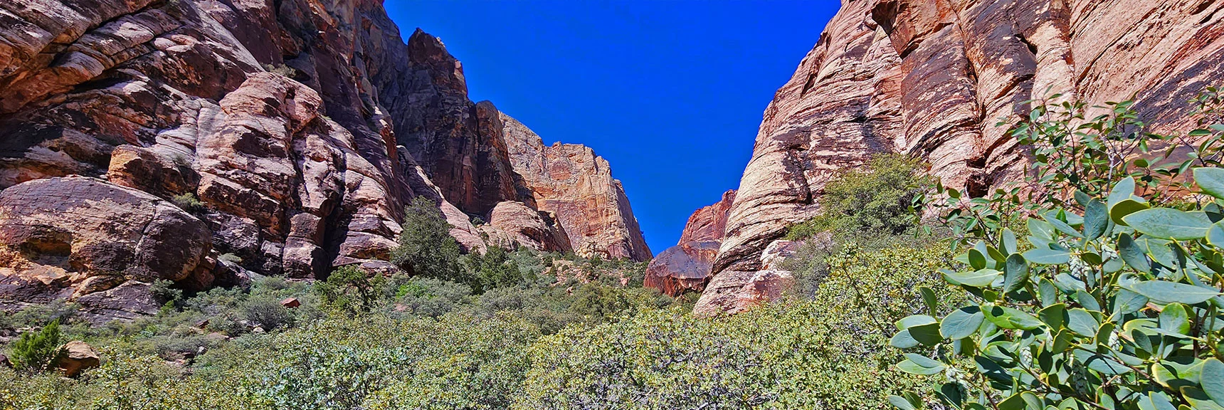 Continue Ascending Canyon Toward Narrow Opening. | Juniper Canyon | Red Rock Canyon National Conservation Area, Nevada | David Smith | LasVegasAreaTrails.com