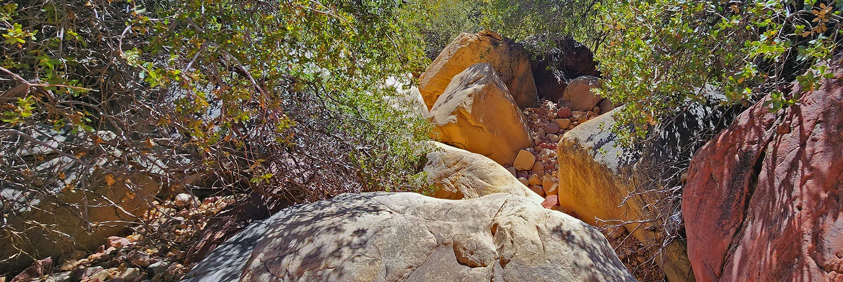 Continue to Wind Through Brush and Boulders in the Narrow Canyon Opening | Juniper Canyon | Red Rock Canyon National Conservation Area, Nevada | David Smith | LasVegasAreaTrails.com
